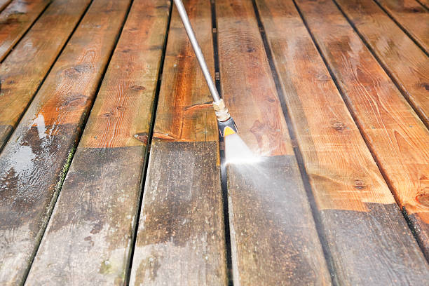 Best Animal Enclosure Cleaning  in Amerin Nyon, CA
